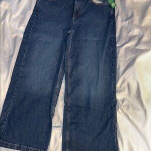 GAP Blue Flare Wide Leg Jeans